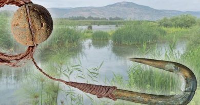 Archaeology Researchers found the ancient fishing tools in Hula Lake Israel